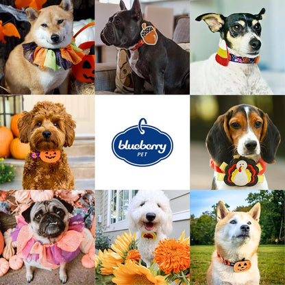 10 Patterns Fall Halloween Thanksgiving Dog Collars, Collar Covers